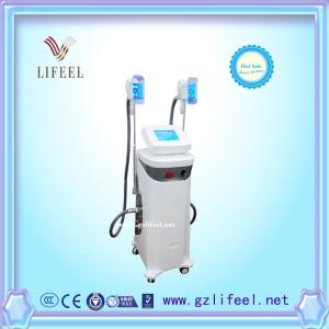 China Two heads Fat freezing slimming machine weight loss beauty equipment wholesale