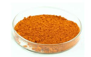 China Marigold flower extract Lutein 5-90% HPLC powder wholesale