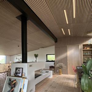 China European standard 3D Interior Decoration slat Acoustic wooden Wall Panel wholesale