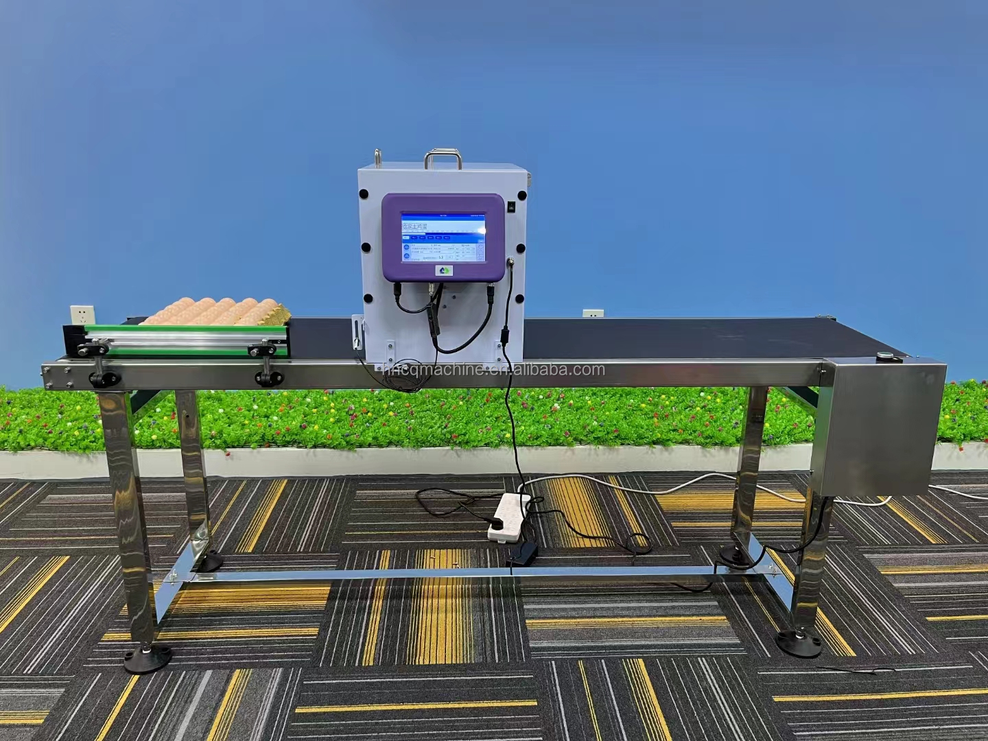 Chicken Egg Printer Printing Machine Ink Jet Printer Eggs Machine Egg Date Printer