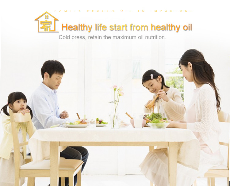 Popular selling cold press oil machine and mini oil press machine in China supplier