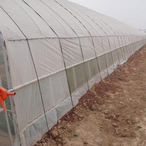 China Single-Span Agricultural Mini Greenhouse for Vegetables Easily Assembled wholesale