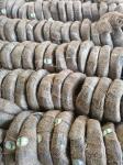 Black Annealed Wire