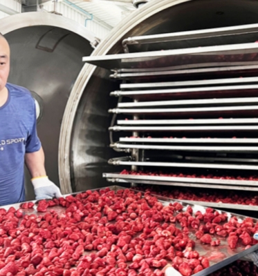 200kg per Batch High Productivity Commercial Freeze Drying Machine for Easy Operation