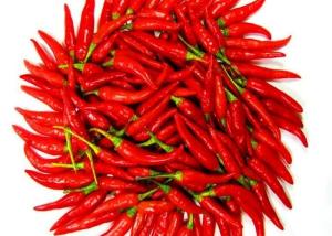 China GMP Dried Birds Eye Chilli Peppers Chinese With Seeds 15000SHU wholesale