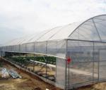 0.12mm-0.8mm UV Resistant Plastic Sheeting Greenhouse Anti Drip