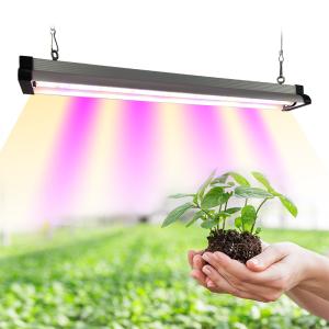 China 20w 30w 60w Samsung Lm281b LED Horticulture Grow Light wholesale