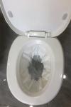 White Disposable Commode Bags 15m Biodegradable Toilet Waste Bags Anti Odor