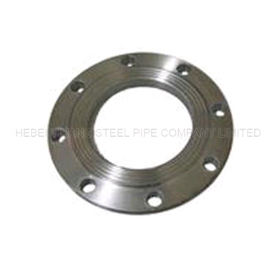 A234WPC Pipe Blind Carbon Steel Flange Welded Neck EN10242 On Blank Double Plate