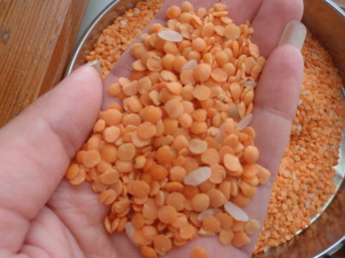 Mexico Macadamia Nuts Color Sorter With Full Color CCD Camera