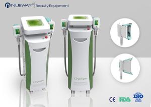 China CE Approved Popular Two handles cryolipolysis lipo slim machine for fat removal wholesale