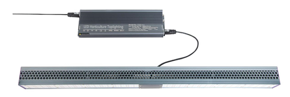 640W Greenhouse LED Grow Lights PPFD AC 110V Greenhouse Supplemental Lighting