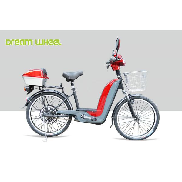 36V 350W Pedal Assist Electric Bike 24 Inch Wheel V Brake Rear Brushless Motor
