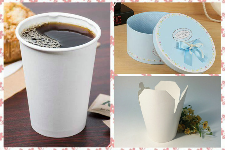 ISO9001 ISO14001 FDA SGS White PE Coated Paper Glossy Food safe Customized