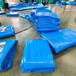 Printed PE Tarpaulin 100% Waterproof Truck Cover for Cargo Cover in African