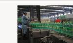 6-Head Automatic Carbonated beverage production line