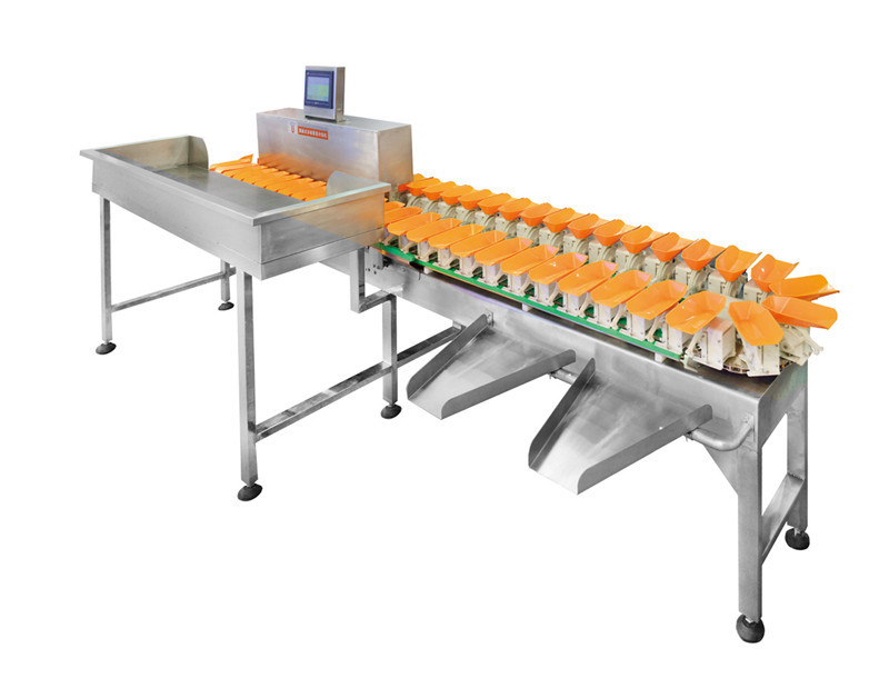 Conveyor Sortation Weight Sorter Machine 110V Multiweight Overturned Device