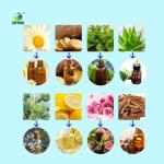 Herbal Distillation Essential Oil Extractor 50L-300L Extraction Equipment
