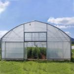 Modern Farming Single-span Plastic PE Film Poly Tunnel Tomato Greenhouse