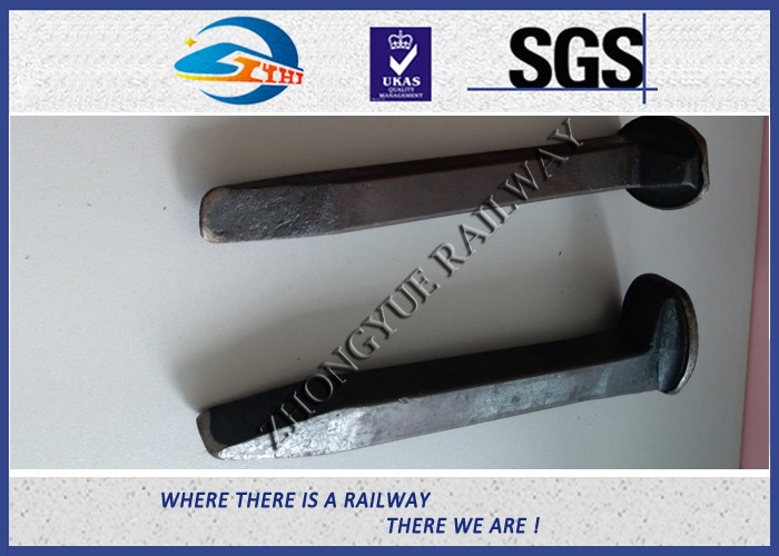 AREMA Standard Railroad Spike Types Dog Spike & Screw Spike Rail Fasteners
