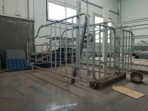 China Durable Free Stall Farrowing Pens Swine Equipment With Thermal Box wholesale