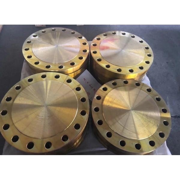 EN1092-1 DIN Forging Steel Pipe Flange BS4504 PN16 Welding Neck A105 C22.8 Flange