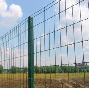China European PVC Coated Welded Wire Mesh Security Fencing Curved 50 X 100mm on sale