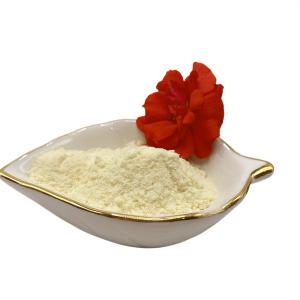 China Organic N16 Soy Protein Powder wholesale