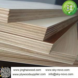 China China melamine plywood furniture boards wholesale