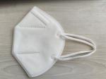 EN 149 FFP2 Face Mask