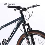 Hard Frame 29 Inch Mountain Bike for Men 9 10 12 Speed Aluminium Alloy OEM MTB