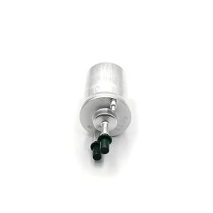 China OEM Standard Auto Fuel Filter XF24324 FOR AUDI VW SKODA SIAT wholesale