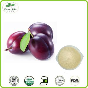 China Hot Selling Product Plum Fruit Juice Powder wholesale