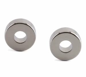 Size Customized Permanent Magnet Neodymium Ring Shaped Magnet