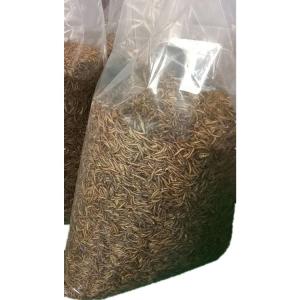 China Satisfying B2B Demand Dried Mealworms with 1 Year Shelf Life wholesale