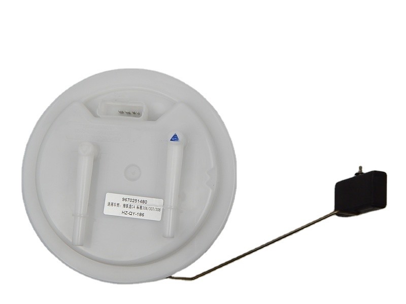9670251480 965283988 Citroen Fuel Pump Assembly High Pressure C4 Peugeot 306, 307, 308