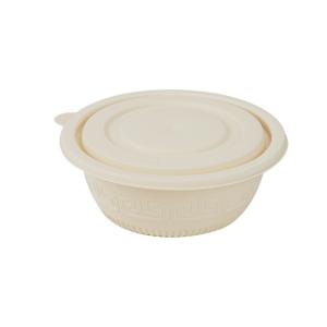 China Eco Friendly Sugar Cane Salad Bowl Disposable for Food Storage wholesale