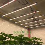 UL8800 Full Spectrum LED Grow Lights 90Watt Horticultural Lighting