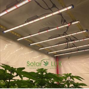 China UL8800 Full Spectrum LED Grow Lights 90Watt Horticultural Lighting wholesale