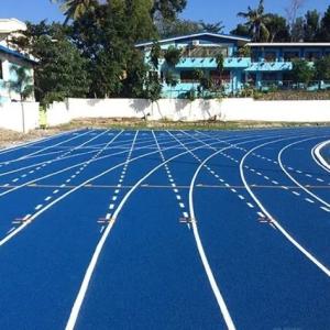 China Sports Synthetic Athletic Track 1mm 3.5mm Blue Red EPDM Granules For Stadium wholesale
