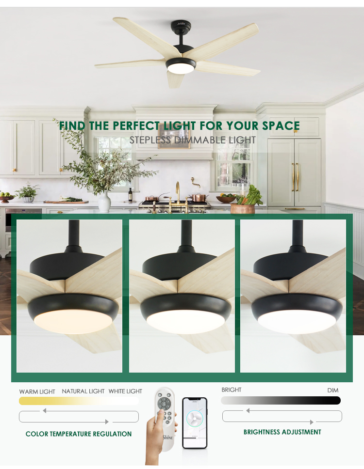 led ceiling fan