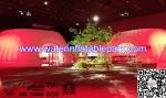 Indoor Exhibition Round Inflatable Lighting Tent , Solar Power Tent