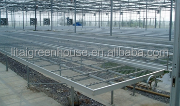 Customized Size Film Covered Poultry Farm Greenhouse Length 30-100m with Film Cover