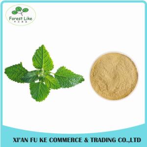 China Peppermint / Mentha Haplocalyx Leaf Extract Menthol wholesale