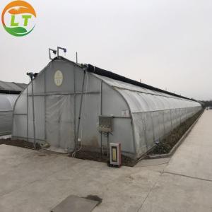 China Mushroom Farm Greenhouse with Galvanized Material Frame and Film Cover wholesale