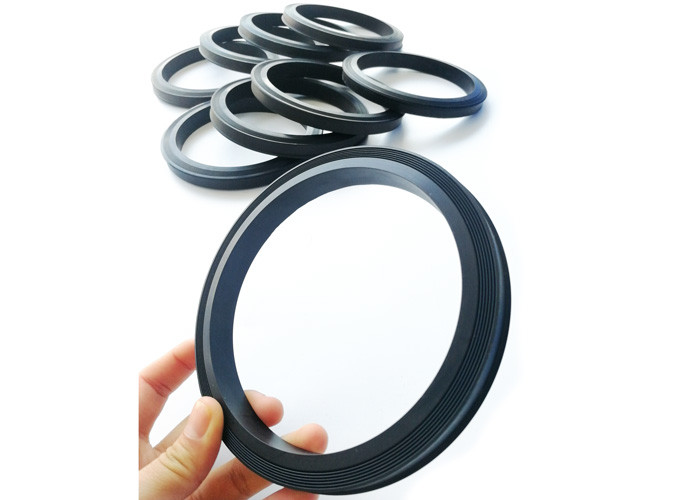 Made in China Hammer Union Lip Seal Ring HNBR