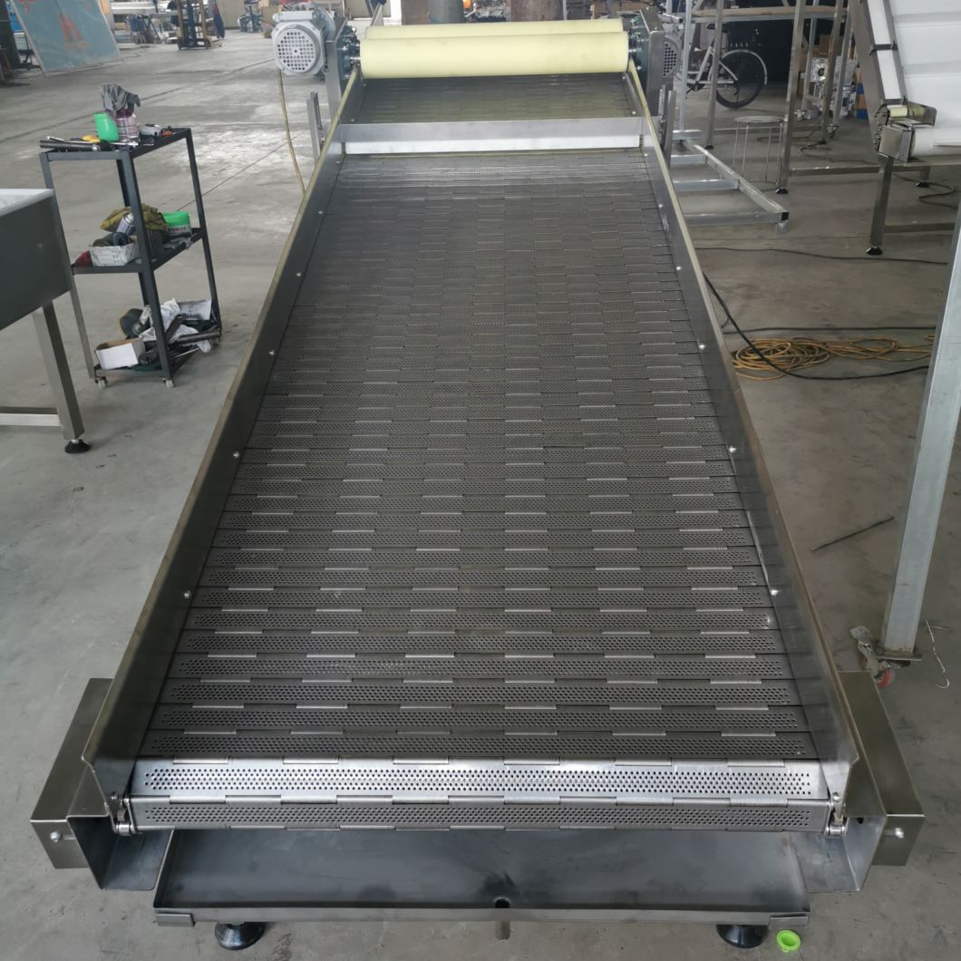 Stainless Steel Wire Mesh Belt Conveyor in Food Industry