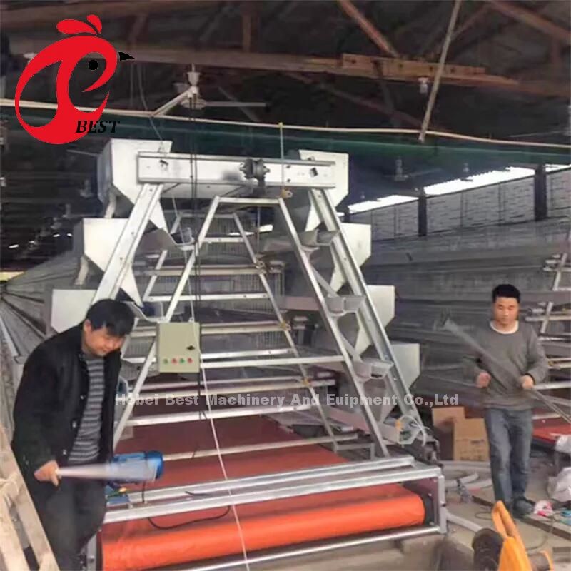 96 Birds H Type Automatic Chicken Chick Cage / A Type Broiler Chicken Cage With Sliding Door Rose
