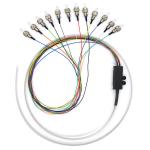 12 Colors ST Ribbon Fan Out Single Mode Fiber Pigtails