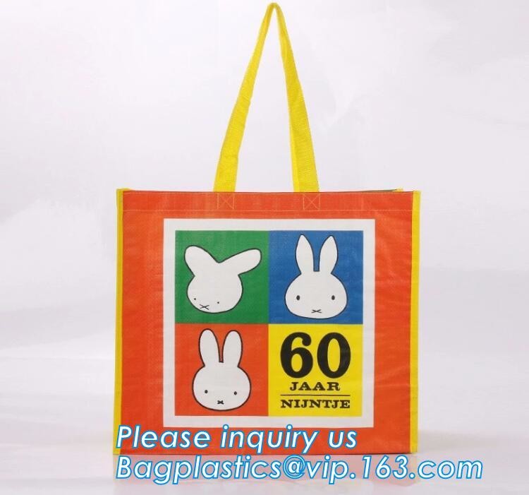 Popular Foldable Reusable Laminate Cheap Print Tote PP Woven Shopping Bag,China cheap custom logo pp woven recycle shopp